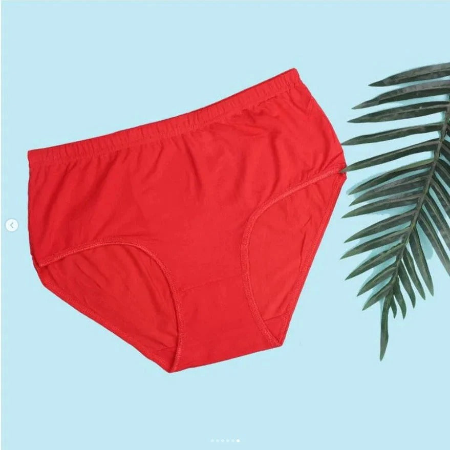 Budget-Friendly Cotton Brief Panties